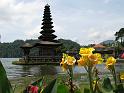 AVAR 2010 Bali - Tokyo Presstour 092